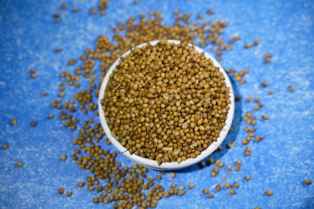 تصویر 4 از قیمت تخم گشنیز خوش طعم + خرید باور نکردنی